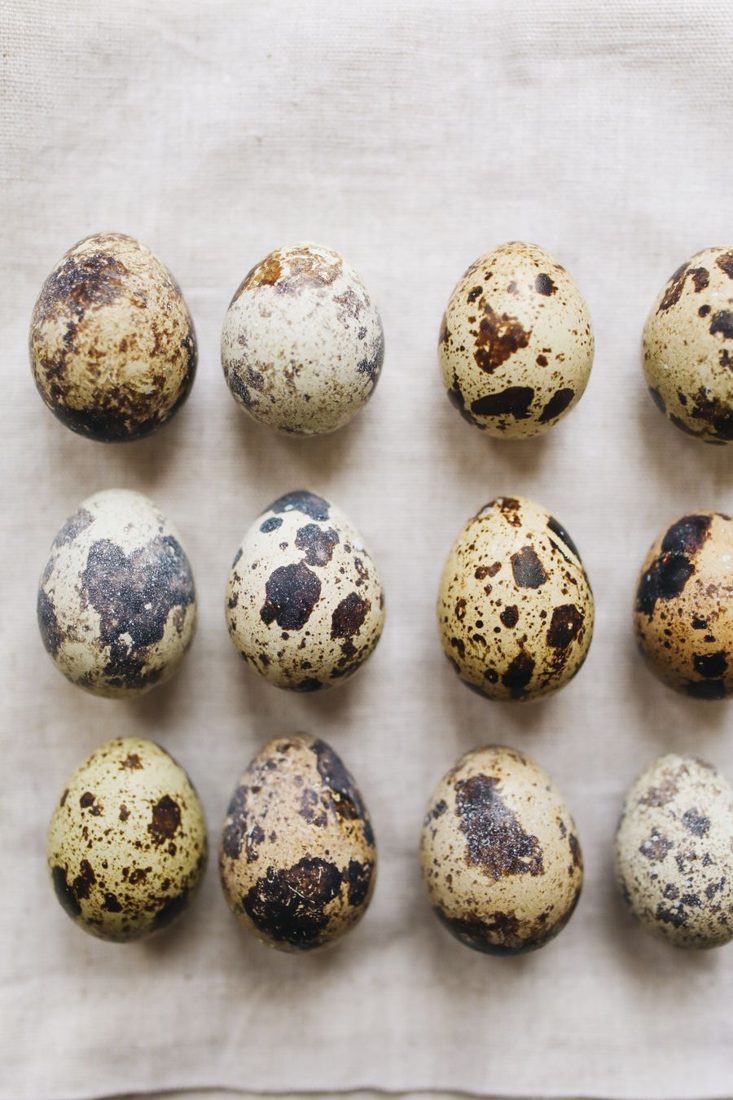 Huevos de codorniz